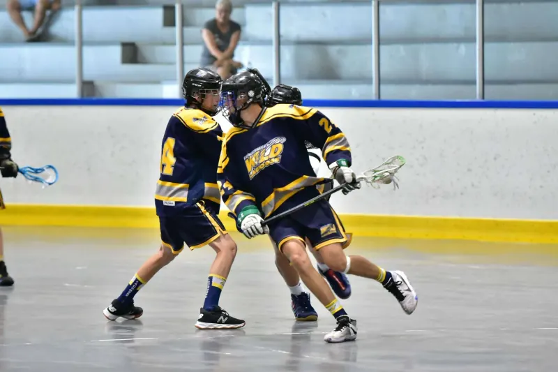 Comox Valley Wild website